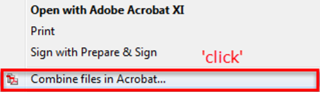 - Combine Files In Acrobat